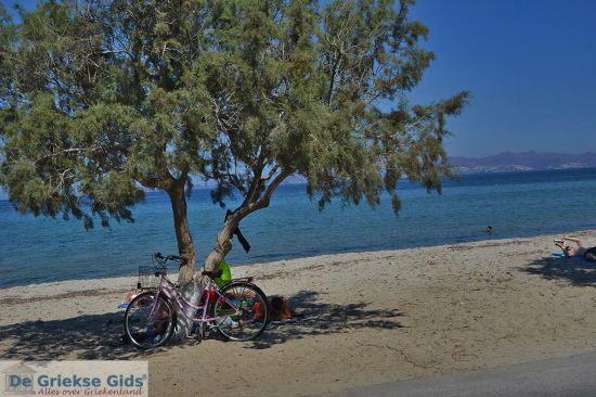 Fietsen bij Tigaki Kos